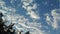 Time lapse of nice clouds movement with pine tree silhouette foreground