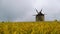 Time lapse of old windmill in a field of wheat.