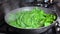 Time lapse pan-cooking spinach