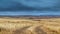 Time lapse panorama storm in a yellow wheat field, in cloudy weather