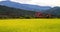 Time lapse of Rural scenery with golden paddy rice farm and red bridge in Hualien, Taiwan, Asia