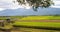Time lapse of Rural scenery of paddy farm and country road in Chishang Township, Taitung County, Taiwan, Asia