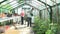 Time Lapse Shot Of Middle Aged Couple Working In Greenhouse