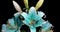 Time-lapse shot of unfolding blue lily flower isolated on black background