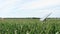 Time Lapse Solar Panel Tracking Sun in Corn Field