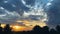 Time lapse sunset, sunrise in jungle, silhouettes of palm, bright cirrus clouds