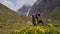 Time lapse of Tent pitching over wild yellow flower on hampta trail in himalayas