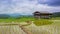 Time lapse terrace rice farm and nimbus clouds floating of thailand