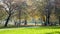 Time lapse of topcider park in sunny autumn afternoon