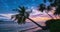 Time lapse tropical beach and sea at sunset. Colorful dramatic sky at dusk, coconut palm frond silhouette