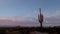 Time Lapse Of Vibrant Desert Sunset Skies n Arizona