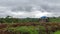 Time lapse vide of cloudy clouds blown by strong winds in fild that has been harvested