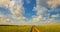 Time-lapse: white clouds flying on blue sky over yellow field