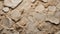 Time-Stamped Elegance: Fossilized Limestone Background. AI generate