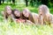 Time for strawberry: 4 young beautiful brunette & blond young women girl friends having fun harvested strawberries in summer