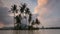 Timealpse coconut tree reflection from water