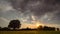 Timelaps of moving fluffy clouds in the evening sky during sunset over lonely oak tree in a wheat meadow field