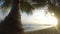 Timelapse on Barbados Beach with Palm Trees