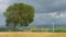 Timelapse of beautiful autumn landscape, lonely tree, wind turbines rotating