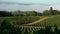 Timelapse, Bordeaux Vineyard at sunrise and fog, Entre deux mers, Langoiran, Gironde, France