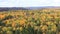 Timelapse of brilliant autumn color at Algonquin Provincial Park, Canada 4K