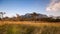 Timelapse of cloud ans sky with row of pine in meadow and mountain view at afternoon