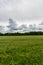 Timelapse clouds moving over the field. Spring landscape footage.