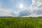 Timelapse clouds moving over the field. Spring landscape footage.