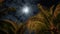 Timelapse cloudy sky in front of the moon at night, palm tree at tropical resort