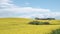 Timelapse: flowering canola rapeseed field under blue sky