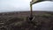 Timelapse footage of an excavator moving trees and branches in the field