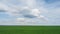 Timelapse green field with moving clouds. sown field of wheat, the growing of crops