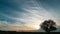 Timelapse of a growing tree on field with dramatic sunset sky