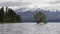 Timelapse Lake Wanaka and Tree