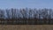 Timelapse of late autumn landscape, gloomy nature, dark sky, bare branches of trees without leaves, empty agricultural field and t