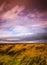 Timelapse movement of clouds across marshland and grasses