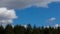 Timelapse movie of white clouds moving across beautiful blue sky over green evergreen trees 4k uhd