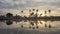 Timelapse orange flaming cloud over coconut trees