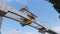 Timelapse. An orange overhead crane, lifting the Railway steel plate