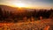 Timelapse of a partly cloudy desert sunrise viewed from a mountain pass. Shot in HDR. Includes hyperlapse panning motion