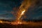 timelapse photo sequence of a lone tree burning