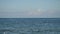 Timelapse of picturesque view of horizon over blue crystal clear water with handsome white sailing ship.