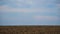 Timelapse of plowed field and blue sky, soil and clouds of a bright sunny day - concept of agriculture