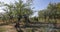 Timelapse with a plum tree during a sunny autumn day in an orchard in rural Romania