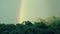 Timelapse of a rainbow forming over a tropical evergreen rainforest