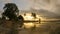 Timelapse reflection sunset with golden cloud fly over coconut trees..