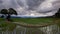 Timelapse rice field and cloud of Ban pabongpiang in Chiangmai, Thailand