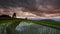 Timelapse rice field and cloud of Ban pabongpiang in Chiangmai, Thailand