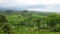 Timelapse. Rice terraces in Tegallalang, Ubud, Bali, Indonesia.