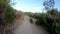 Timelapse riding mountain bike in a small singletrack trail in the mountain.